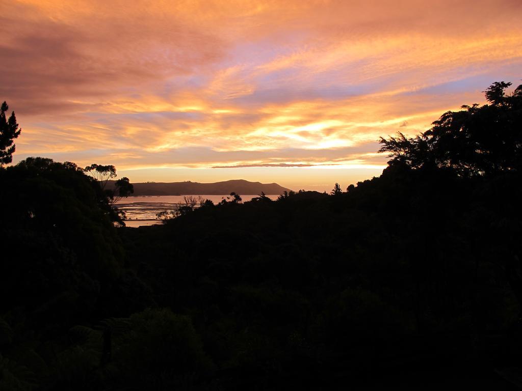 Studio 531 Coromandel Rum bild